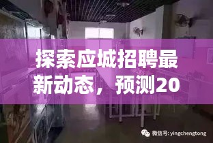 应城招聘最新动态深度解析，预测2024年招聘趋势及日期分析