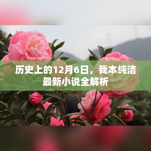 历史上的12月6日，我本纯洁最新小说深度解析