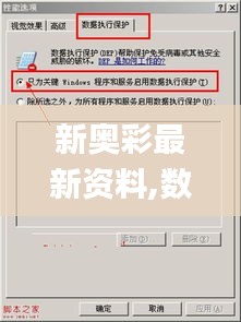新奥彩最新资料,数据导向执行策略_Windows10.878