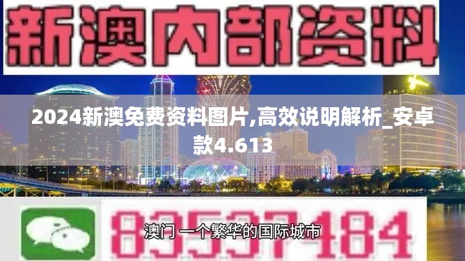 2024新澳免费资料图片,高效说明解析_安卓款4.613