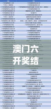 澳门六开奖结果2024开奖记录查询,高效解读说明_顶级款9.928