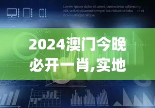 2024澳门今晚必开一肖,实地评估数据方案_安卓5.254
