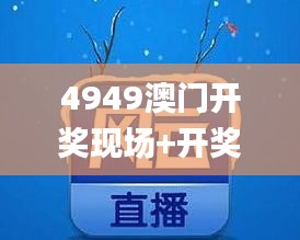 4949澳门开奖现场+开奖直播,精细化说明解析_网页版17.230