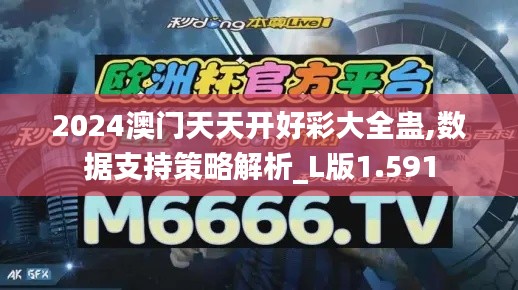 2024澳门天天开好彩大全蛊,数据支持策略解析_L版1.591