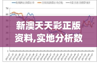 新澳天天彩正版资料,实地分析数据执行_W1.163