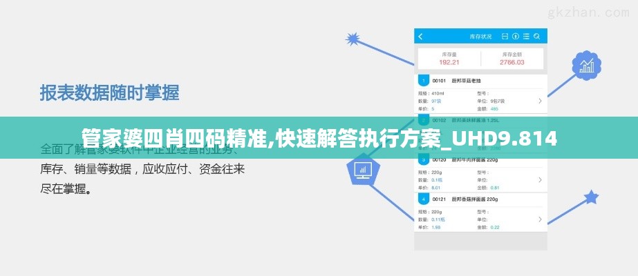 管家婆四肖四码精准,快速解答执行方案_UHD9.814