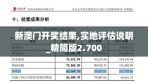 新澳门开奖结果,实地评估说明_精简版2.700