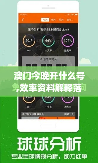 澳门今晚开什么号,效率资料解释落实_专业版1.881