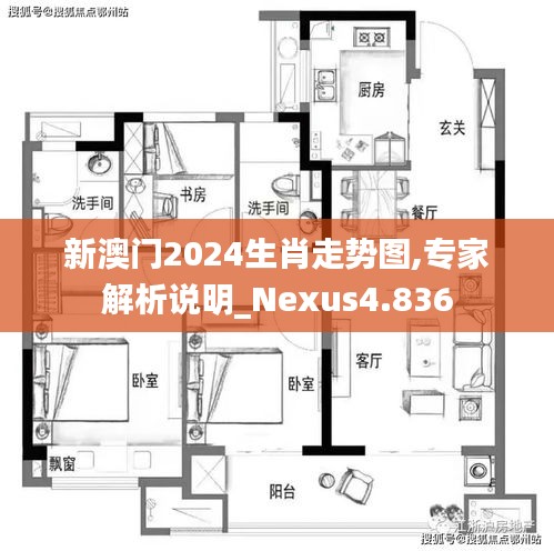 新澳门2024生肖走势图,专家解析说明_Nexus4.836