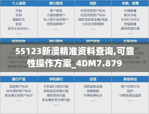 55123新澳精准资料查询,可靠性操作方案_4DM7.879