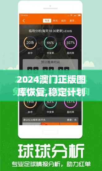 2024澳门正版图库恢复,稳定计划评估_纪念版2.333