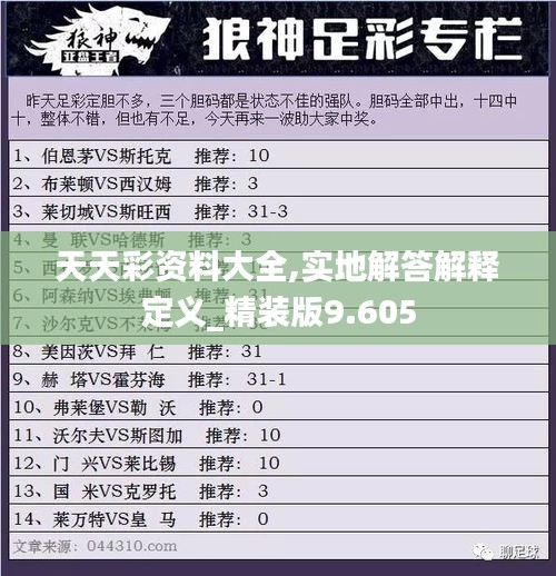 天天彩资料大全,实地解答解释定义_精装版9.605