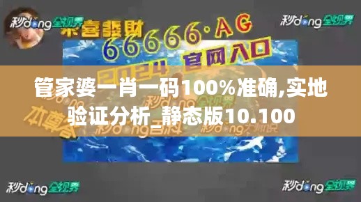 管家婆一肖一码100%准确,实地验证分析_静态版10.100