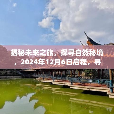 揭秘未来之旅，探寻自然秘境，启程寻找心灵宁静与平和的旅程（2024年12月6日）