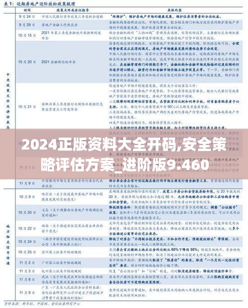 2024正版资料大全开码,安全策略评估方案_进阶版9.460