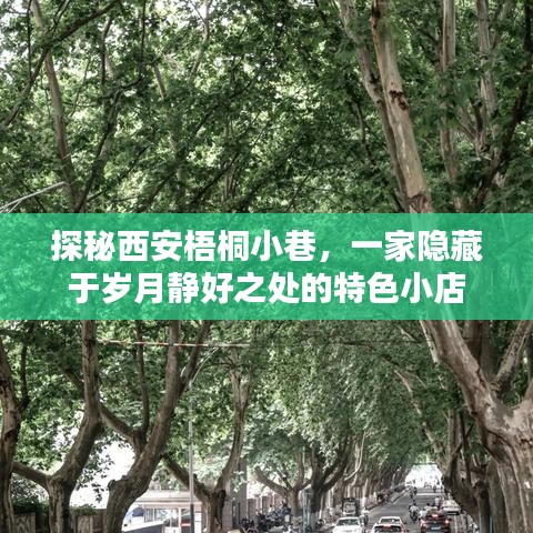 探秘西安梧桐小巷的静好时光特色小店
