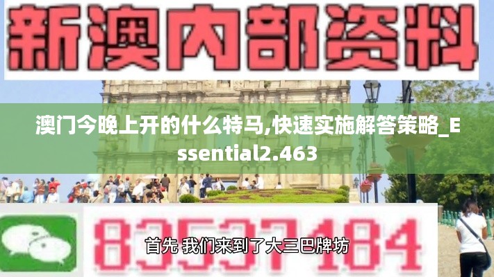 澳门今晚上开的什么特马,快速实施解答策略_Essential2.463