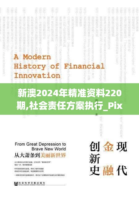 新澳2024年精准资料220期,社会责任方案执行_Pixel10.477
