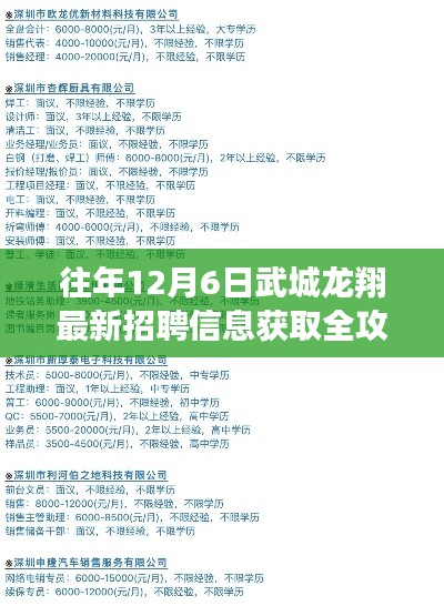 武城龙翔最新招聘全攻略，获取心仪职位的步骤指南