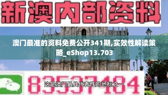 澳门最准的资料免费公开341期,实效性解读策略_eShop13.703