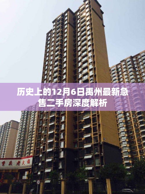 禹州最新急售二手房深度解析，历史视角下的12月6日市场洞察