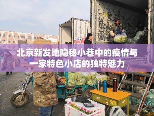 北京隐秘小巷的疫情与特色小店的逆袭故事