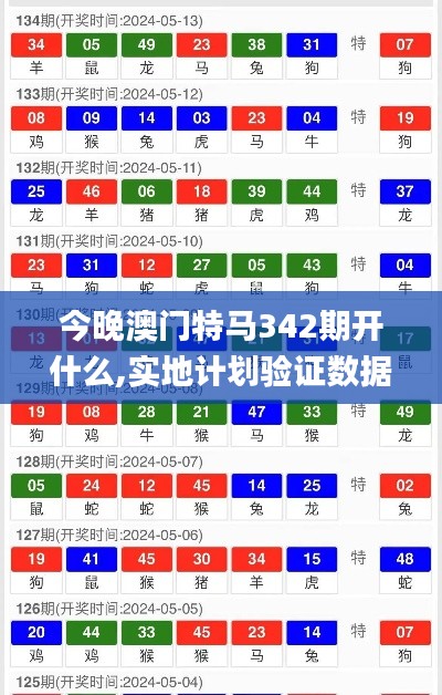 今晚澳门特马342期开什么,实地计划验证数据_1080p10.921