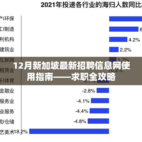 12月新加坡最新招聘信息网使用指南，求职全攻略概览