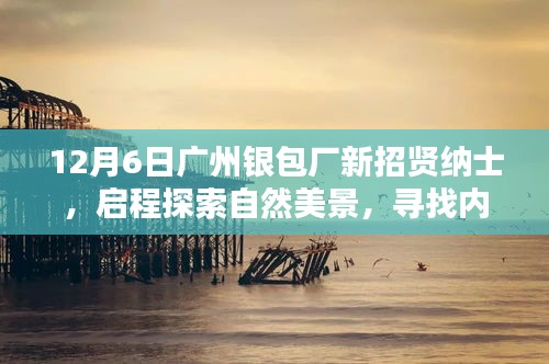 广州银包厂新招募启程探索自然美景，寻找宁静之乐之旅