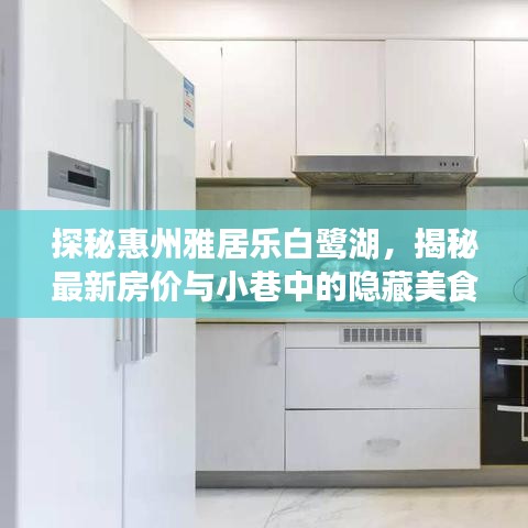 探秘惠州雅居乐白鹭湖，最新房价与小巷美食宝藏大揭秘