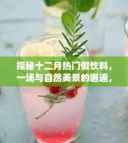 十二月假饮料探秘之旅，与自然美景的邂逅与内心宁静的追寻
