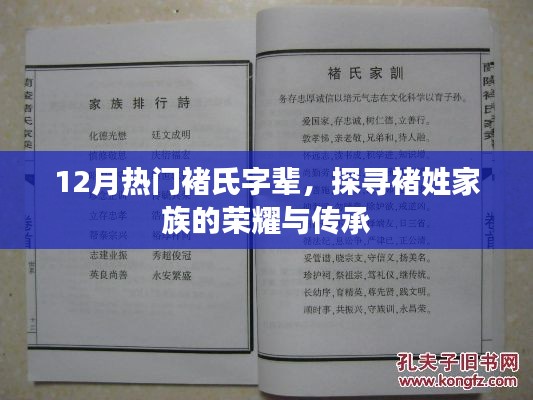 探寻褚氏字辈，荣耀与传承的十二月热门话题