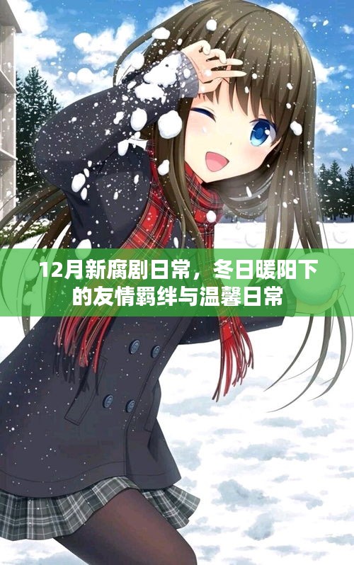 冬日暖阳下的友情羁绊与温馨日常，最新腐剧日常盘点