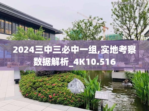 2024三中三必中一组,实地考察数据解析_4K10.516