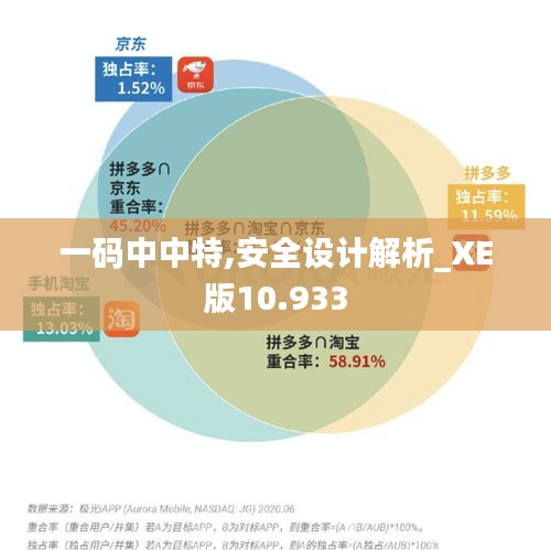 一码中中特,安全设计解析_XE版10.933