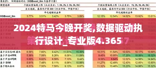 2024特马今晚开奖,数据驱动执行设计_专业版4.365