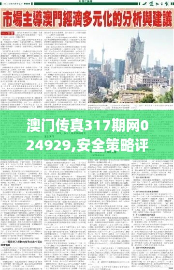 澳门传真317期网024929,安全策略评估方案_LT7.785
