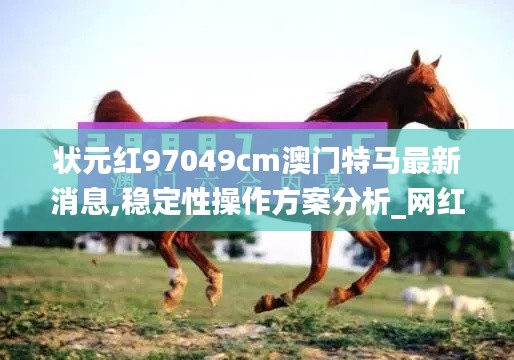 状元红97049cm澳门特马最新消息,稳定性操作方案分析_网红版1.379