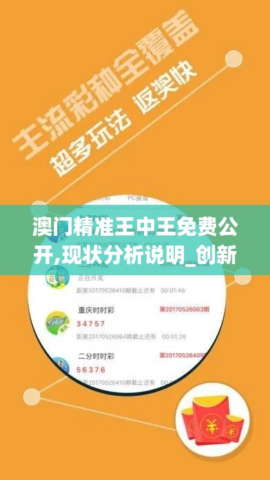 澳门精准王中王免费公开,现状分析说明_创新版7.277