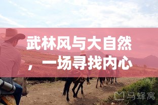 武林风与大自然，绿色冒险之旅探寻内心平静之道