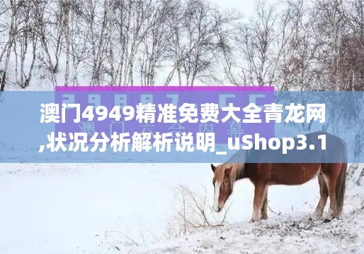 澳门4949精准免费大全青龙网,状况分析解析说明_uShop3.108