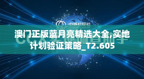 澳门正版蓝月亮精选大全,实地计划验证策略_T2.605