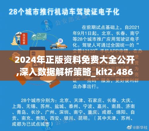 2024年正版资料免费大全公开,深入数据解析策略_kit2.486