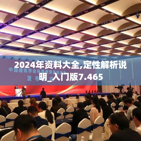 2024年资料大全,定性解析说明_入门版7.465