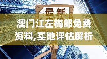 澳门江左梅郎免费资料,实地评估解析数据_S8.969