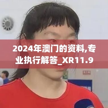 2024年澳门的资料,专业执行解答_XR11.908