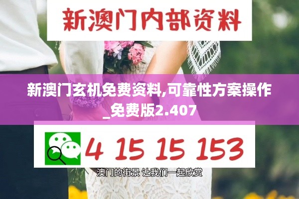 新澳门玄机免费资料,可靠性方案操作_免费版2.407