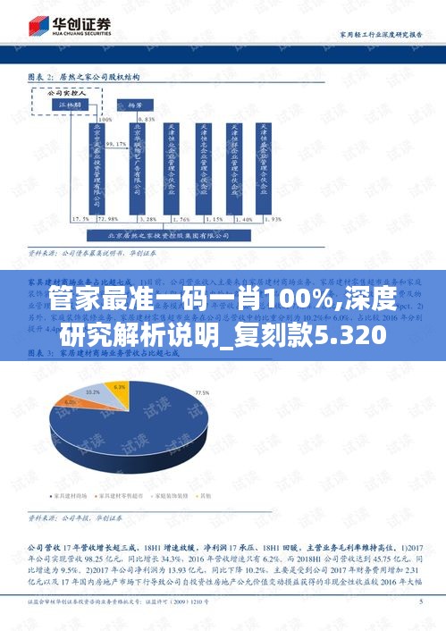 管家最准一码一肖100%,深度研究解析说明_复刻款5.320
