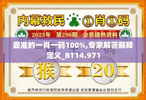 最准的一肖一码100%,专家解答解释定义_BT14.971