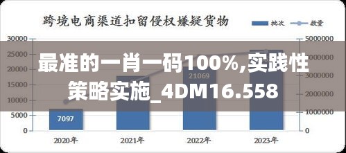 最准的一肖一码100%,实践性策略实施_4DM16.558